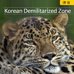 2014 제 2회 글로벌 청소년 환경 포럼