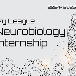 Ivy League Neurobiology Internship  Program